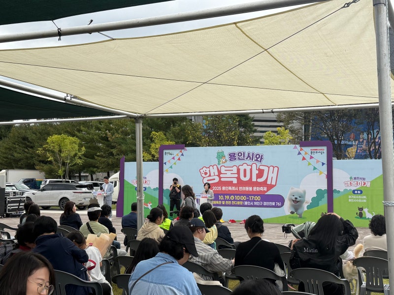 사진 6