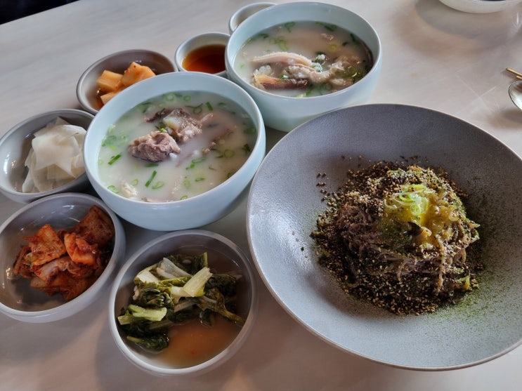  서귀포곰탕 우옥 리얼 진한 국물의 제주 2박3일 맛집