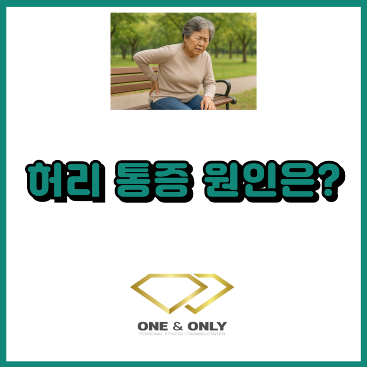  허리 통증 원인 알려드릴게요.