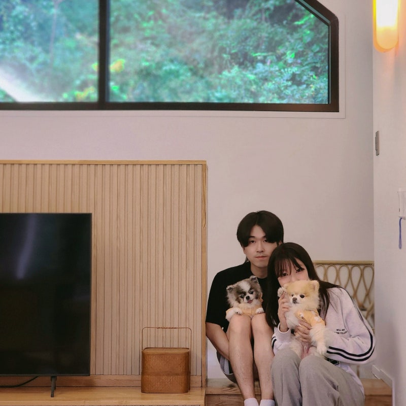 사진 11