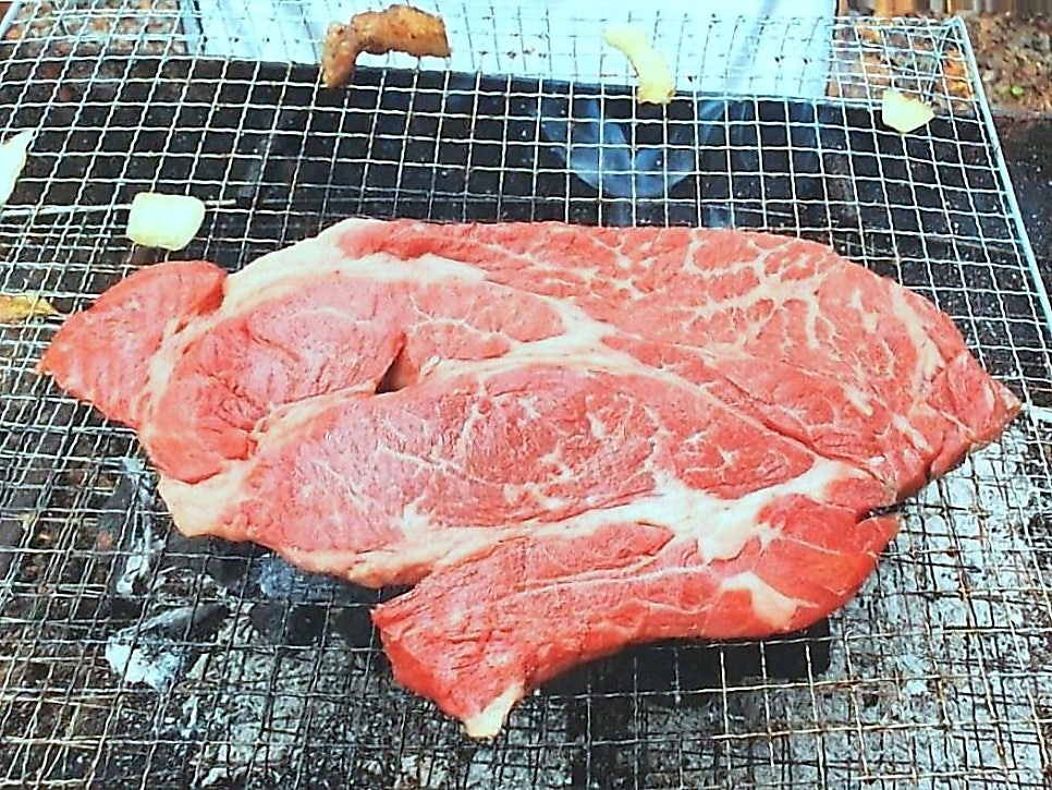 숲속의펜션 사진 5