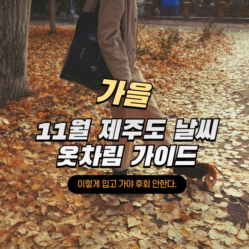 11월 제주도 날씨, 옷차림 현실 가이드 :: 이렇게 입어야 후회 안 한다는 현실 코디법.