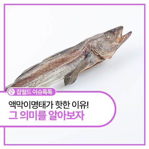 액막이북어, 액막이명태가 핫한 이유! 그 의미를 알아보자