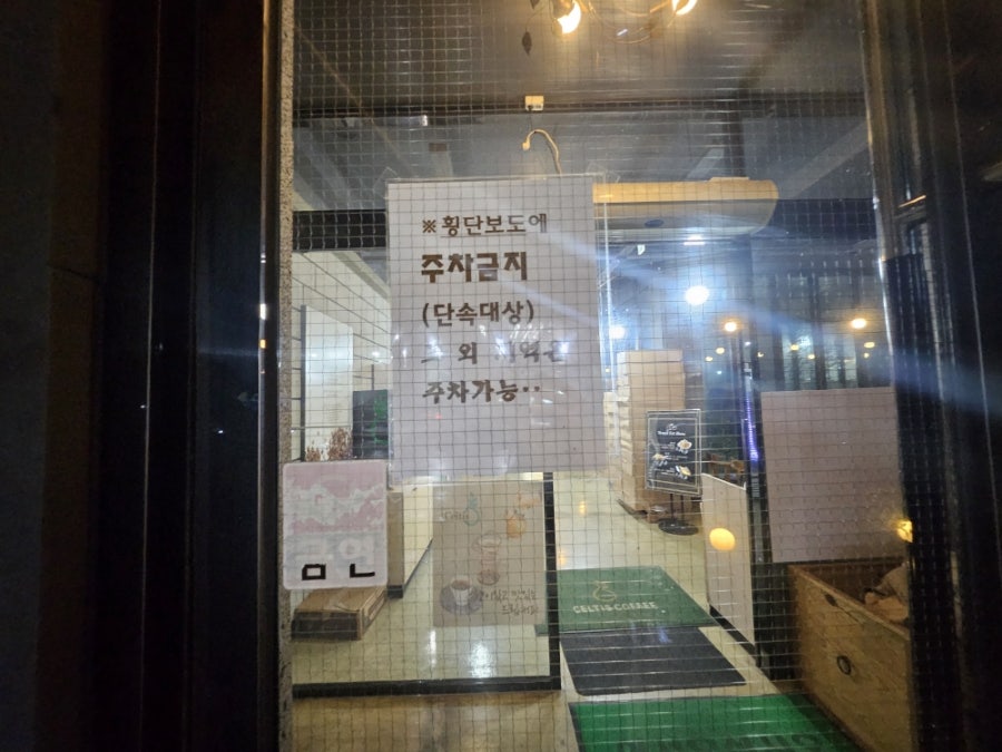 켈티스 사진 4
