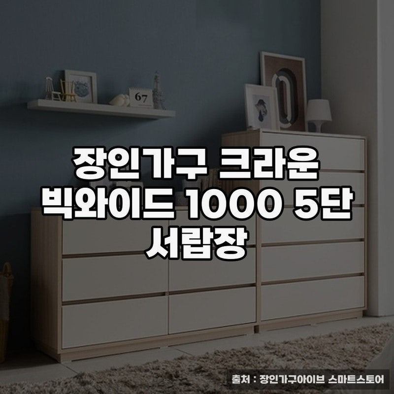 장인가구 크라운 빅와이드 1000 5단 서랍장 활용 노하우