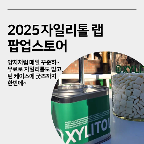  성수 자일리톨 랩 팝업스토어 현장 방문 후기 굿즈