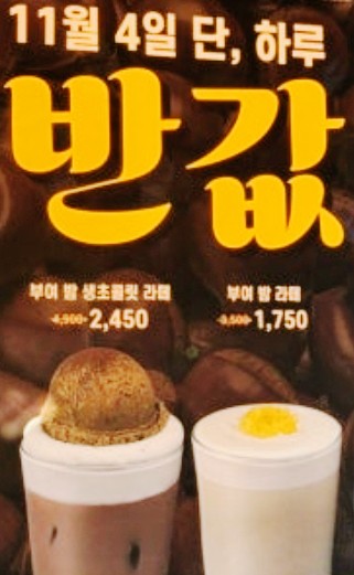  컴포즈커피 부여밤 반값! 11월 4일 단 하루 이벤트 총정리 (최대 50% 할인)