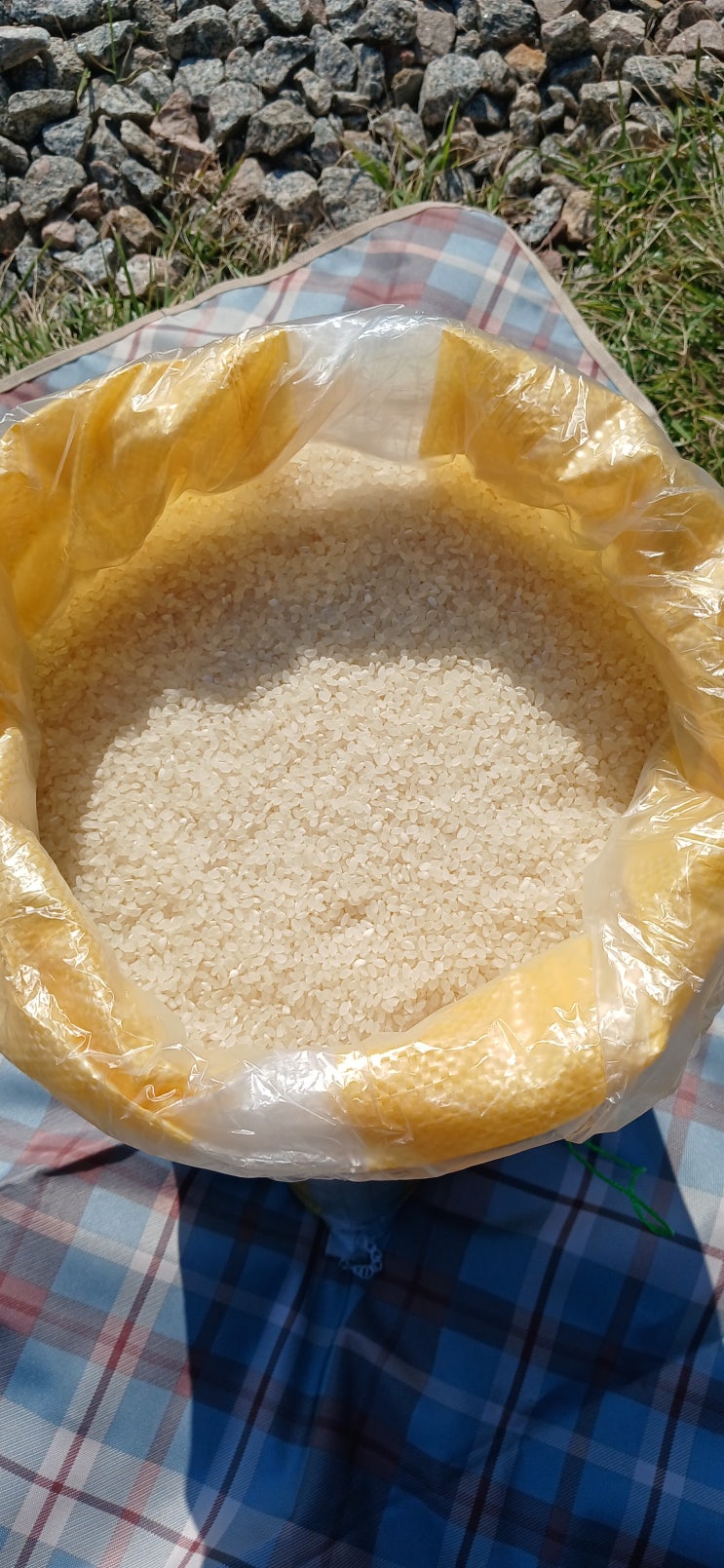  2025년 친환경 농법 햅쌀 20kg 판매 중~~무료 배송~~