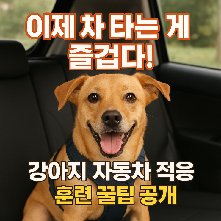  처음엔 무서워도 괜찮아! 강아지 자동차 탑승 훈련 완벽 가이드