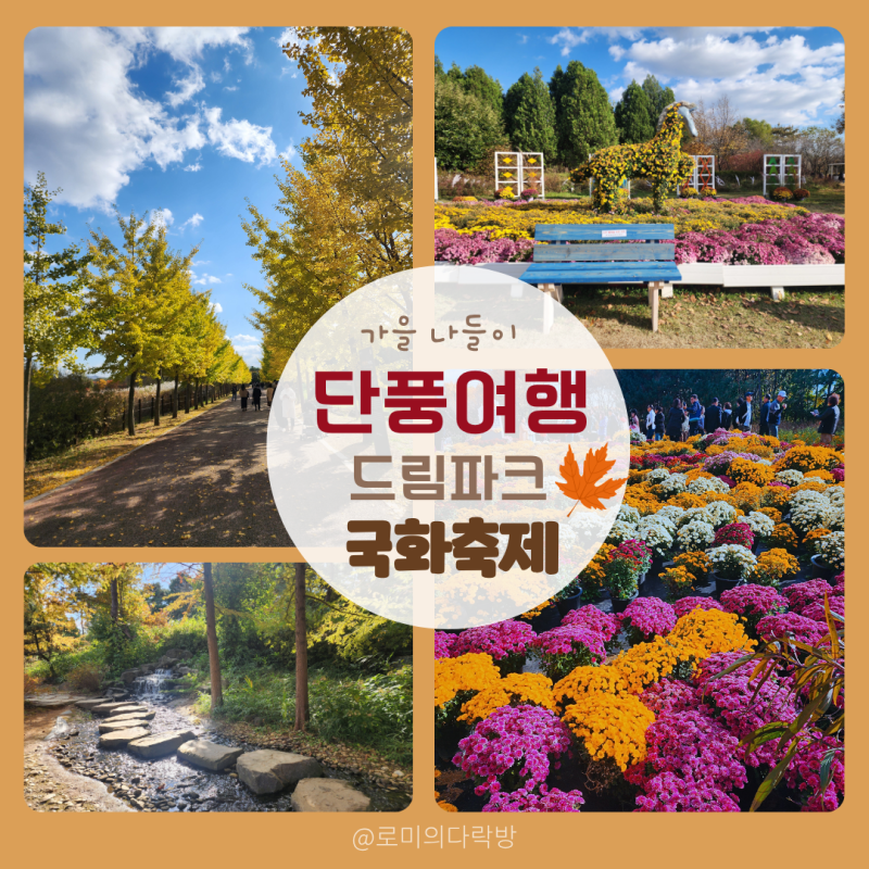 인천 드림파크 국화축제 2025｜가을꽃 구경·포토존·주차 꿀팁 총정리