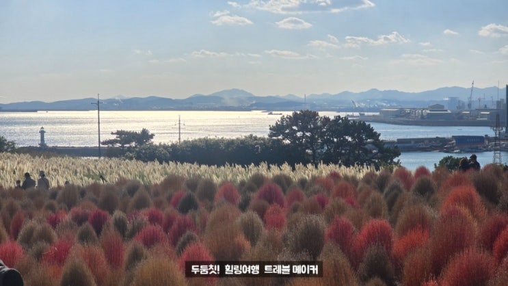  슬도 댑싸리 팜파스 울산 국내 11월여행지 추천