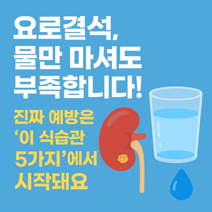  요로결석 예방 식습관 TOP 5  물보다 중요한 ‘이것들’
