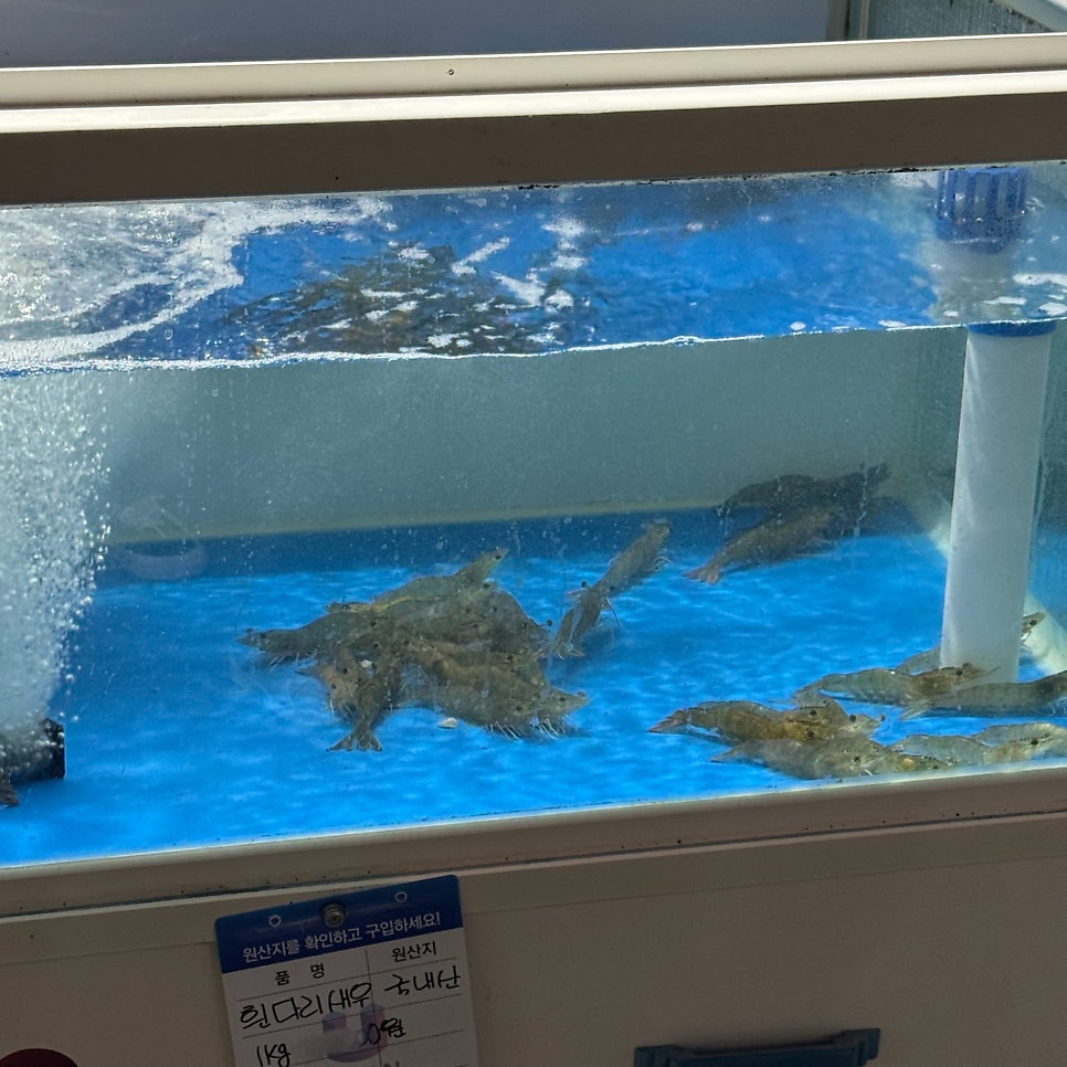 칠암숯불장어구이 사진 5