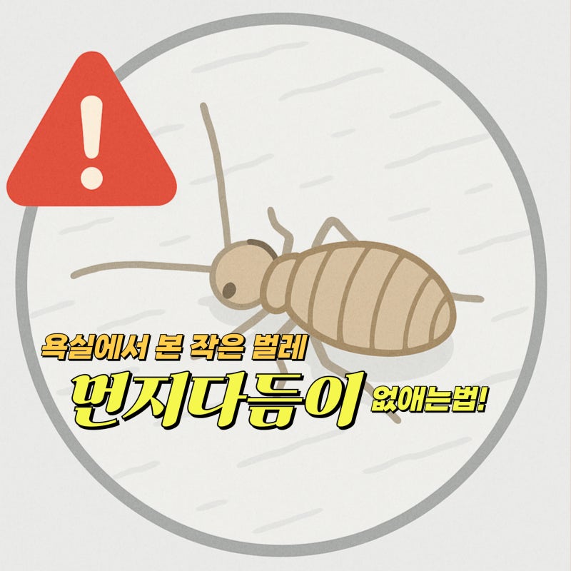 먼지다듬이 생기는 이유와 화장실 먼지다듬이 예방법