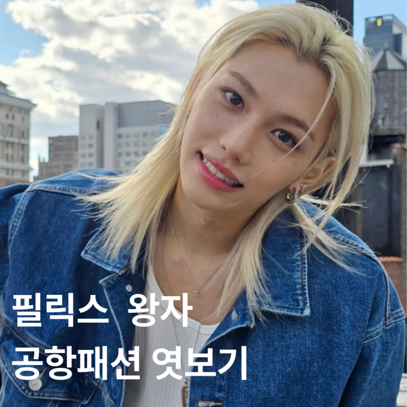 루이비통 앰버서더 스트레이키즈 필릭스, 10만원 이하 공항패션 아이템은?