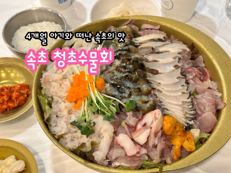  4개월 아기와 떠난 속초 여행, 청초수물회에서 맛 본 속초의 맛