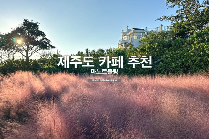 제주도 카페 추천 마노르블랑 제주 핑크뮬리 명소