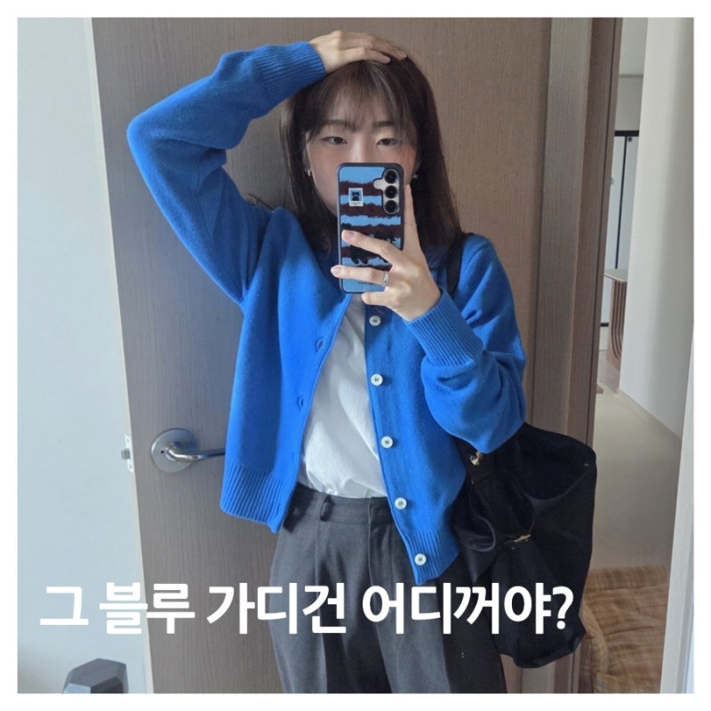 던스트 가디건 블루 리뷰