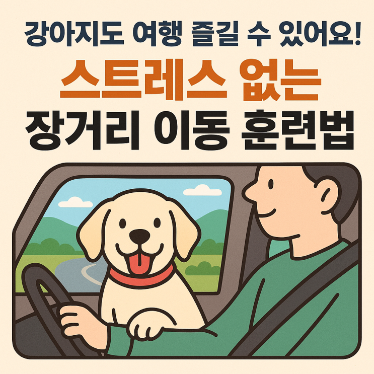   강아지 장거리 이동, 이렇게 훈련하면 스트레스 ‘0’!