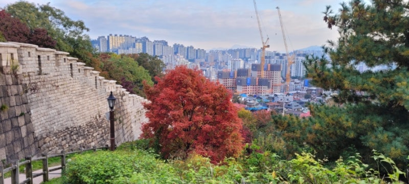 웬수같은 비둘기퇴치에 효과 뛰어난 독수리모형작동새