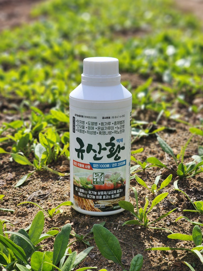 배추 진딧물약 노균병약 스마트한농부 규산황 친환경농약 살충제