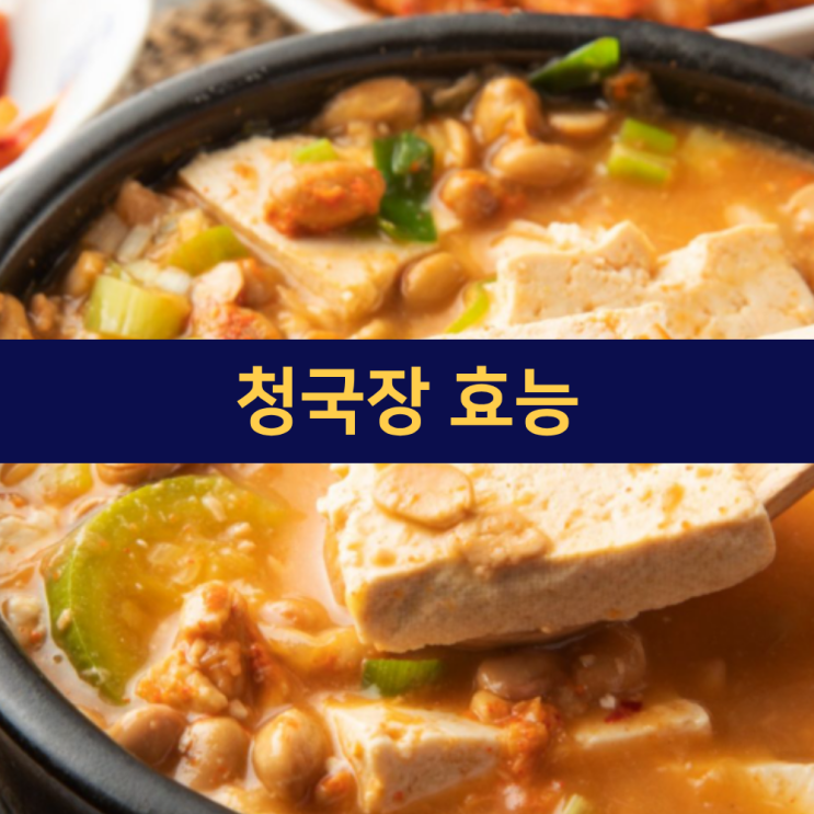  청국장 효능 | 청국장 가루 효능 | 나토키나제 | 바실러스 서브틸리스