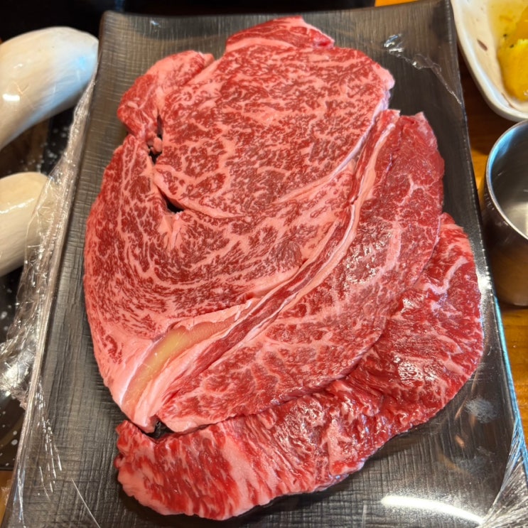  팔공산 맛집 / 반려동물놀이터 와 프라이빗한 룸이 있는 애견동반 한우맛집 [ 명산한우식육식당 ]