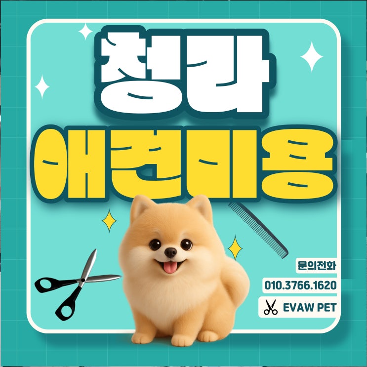  청라애견미용학원 반려견케어부터 취업과 창업까지 one-step
