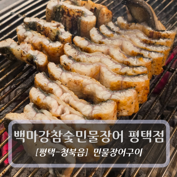  평택장어맛집 :: 백마강 평택점 - 민물장어 구이 후기
