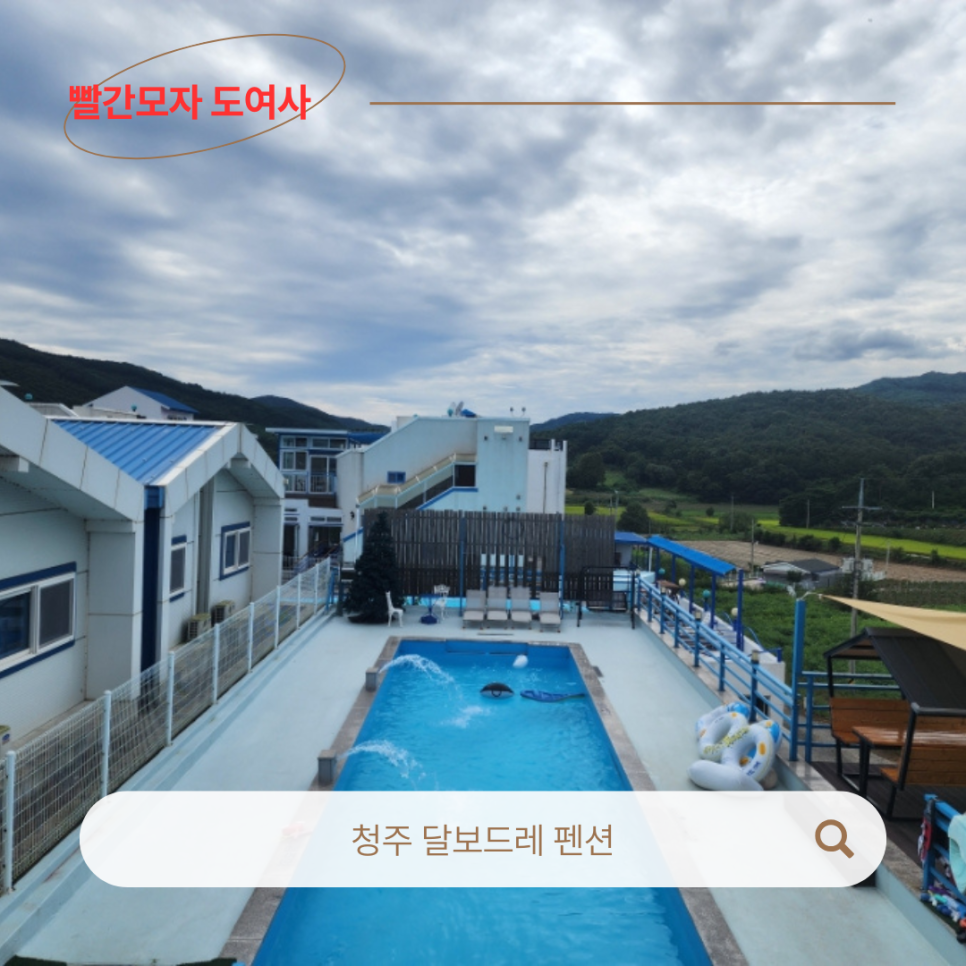 달보드레 사진 2