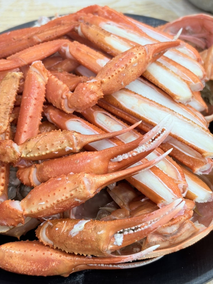  포항 현지인 맛집 죽도시장 홍게 추천 연다라회식당