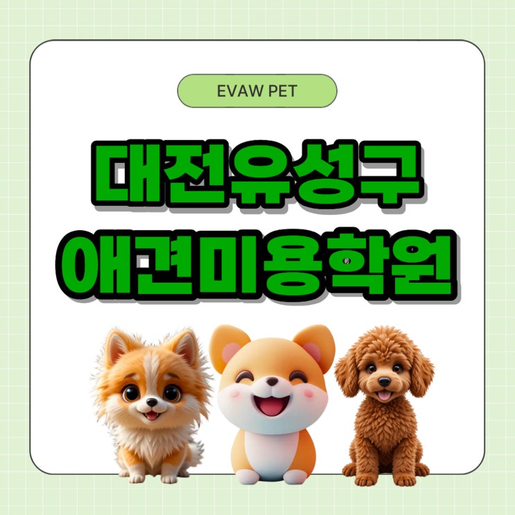  대전유성구애견미용학원 고등학생 진학 준비 특별 지원으로 대학까지 한 번에