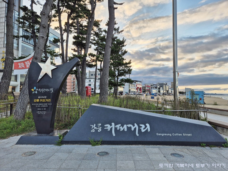 부산조방낙지 강릉점 사진 2