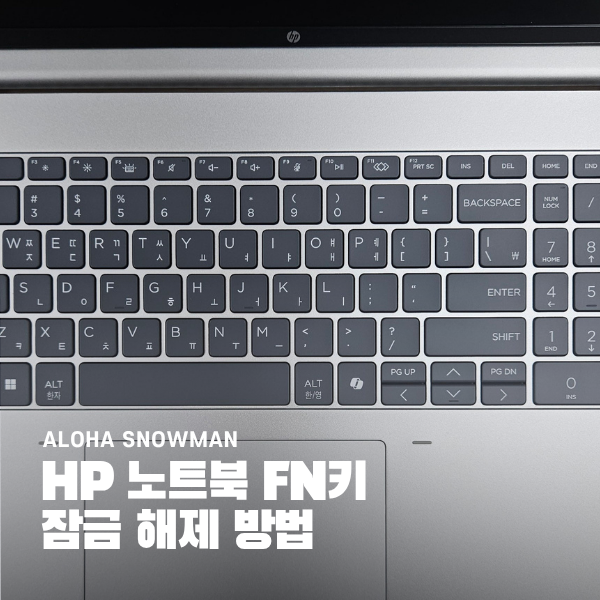 HP 노트북 PC FN 기능키 잠금 해제하는 방법