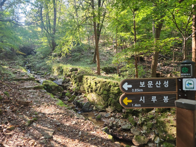 등산 초보자도 가능하다는 대전 보문산 등산 코스, 주차정보(+반찬호떡)