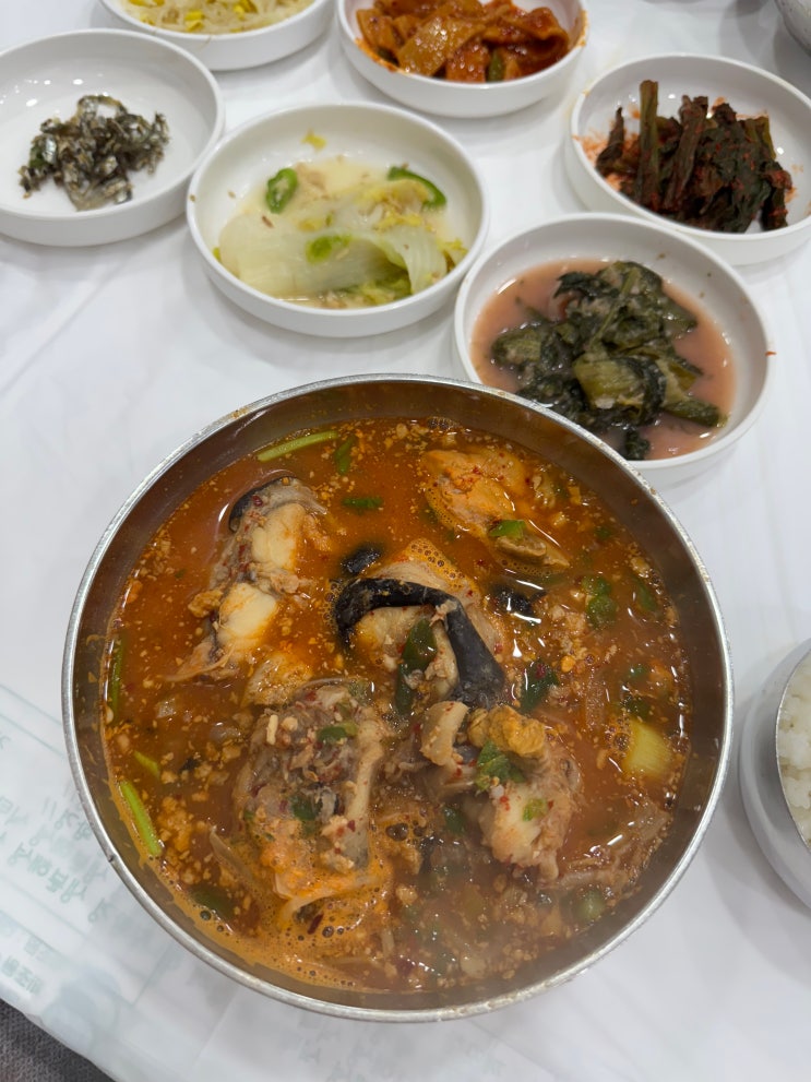  [여수 이순신광장 맛집] 여수 복춘식당 성시경 먹을텐데 아귀탕 맛집