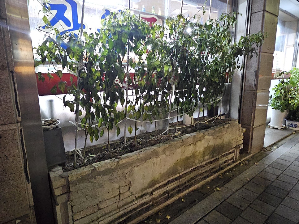 장원중화요리 사진 4