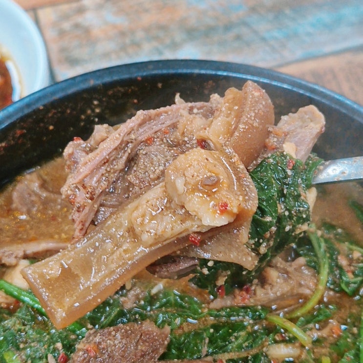  먹어본 염소탕 중 1등 태안 염소와오리 미소식당 냄새 거의 없는데 진짜 찐하고 녹진해요