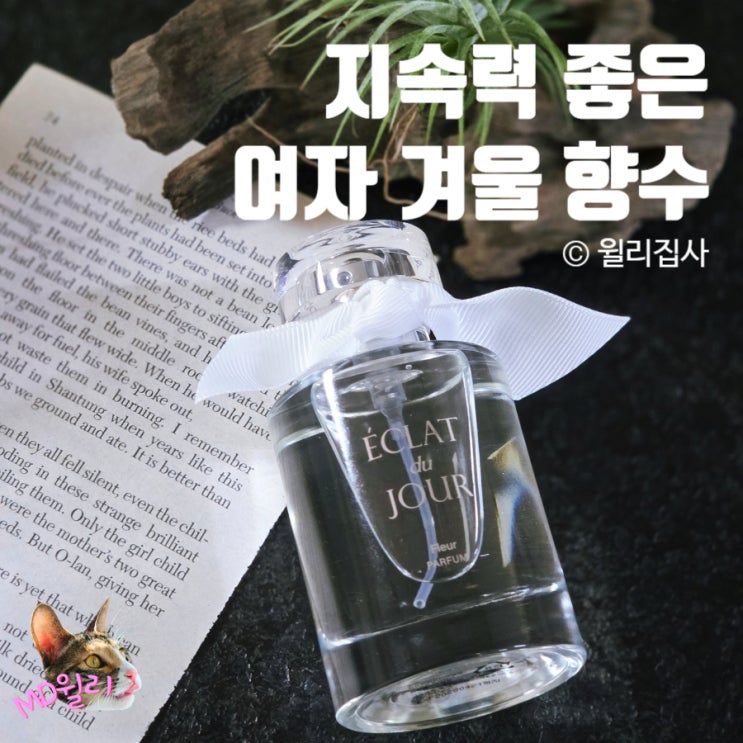  여자 겨울 향수 추천 에클라트 뒤 주르 퍼퓸 플레르 플로럴 지속력 좋은 승무원 향수