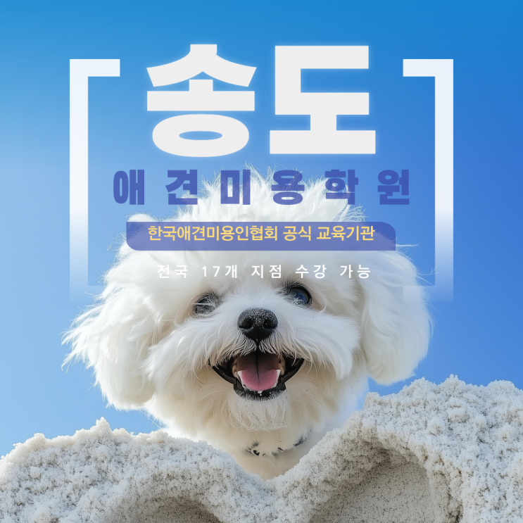  송도애견미용학원 내 손으로 미용을 시작한 이유
