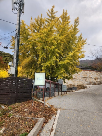 사진 2