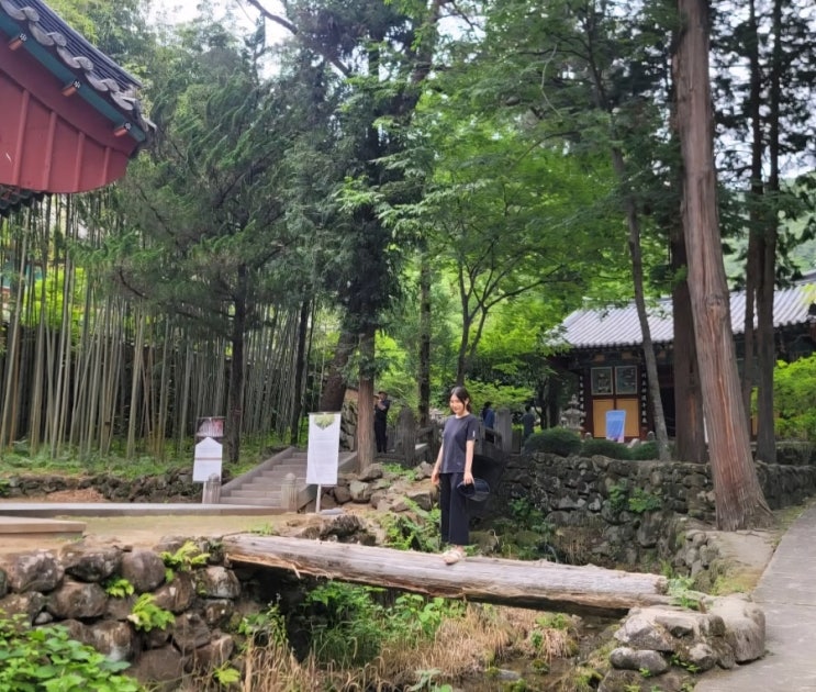  경남 하동 가볼만한곳 쌍계사