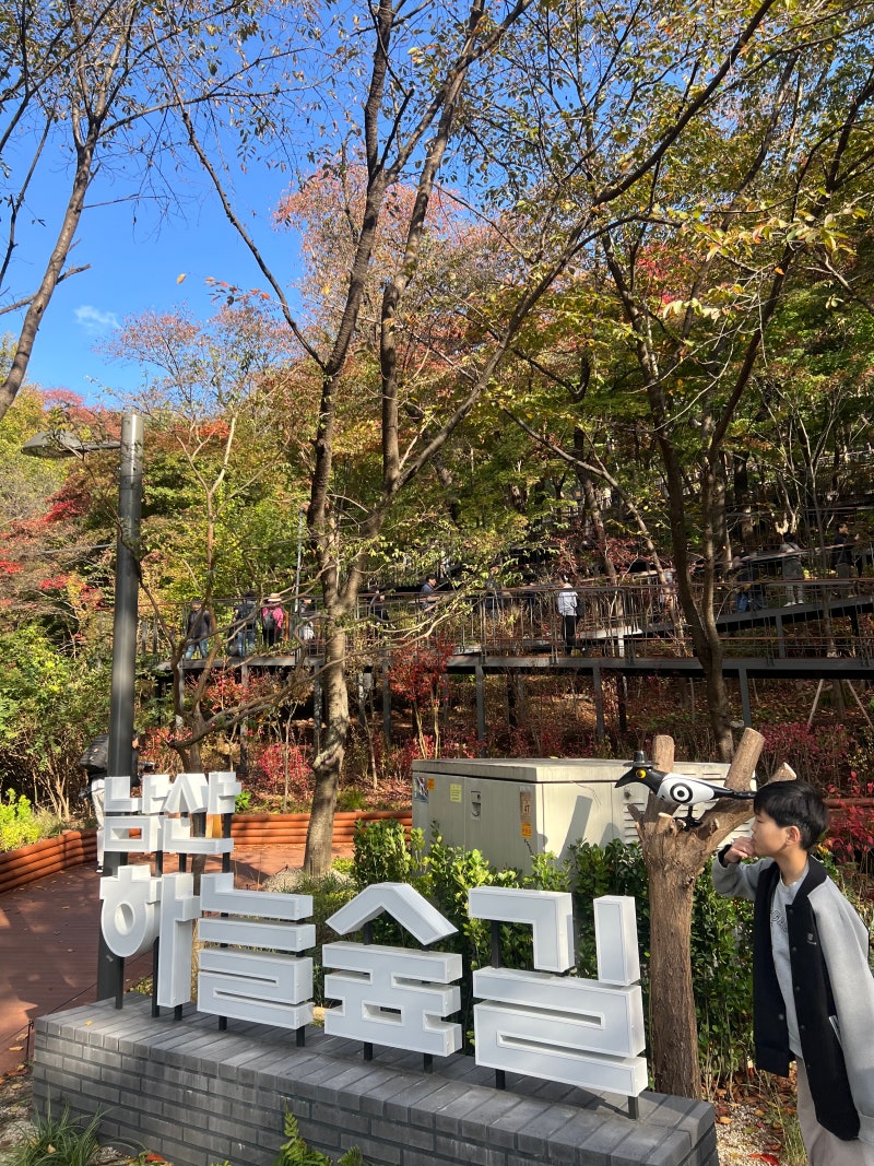 남산타워 올라가는 법 #하늘숲길 개관!