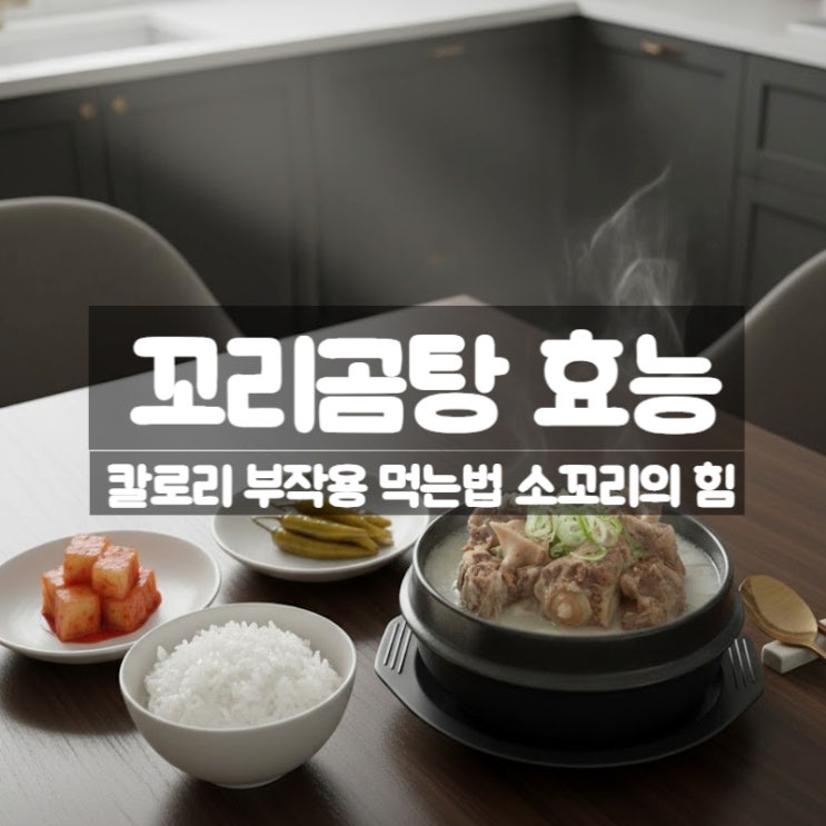  꼬리곰탕 효능 부작용 칼로리 먹는법 – 피로회복 기력보강을 위한 소꼬리