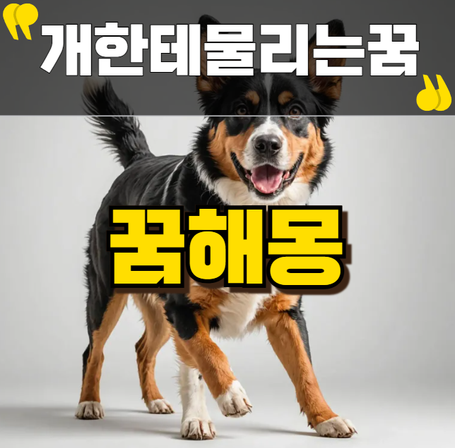 개한테물리는꿈 해몽, 재물운과 무슨 관련이?