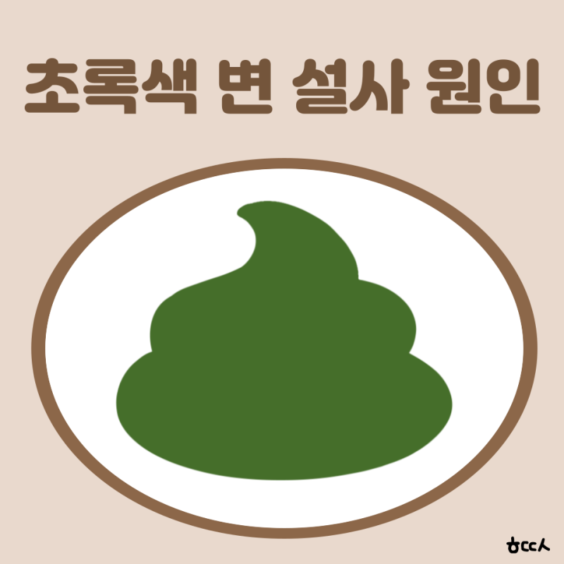 초록색 변 설사 성인 초록색 변 원인 변색깔 똥이 초록색 아기 임산부
