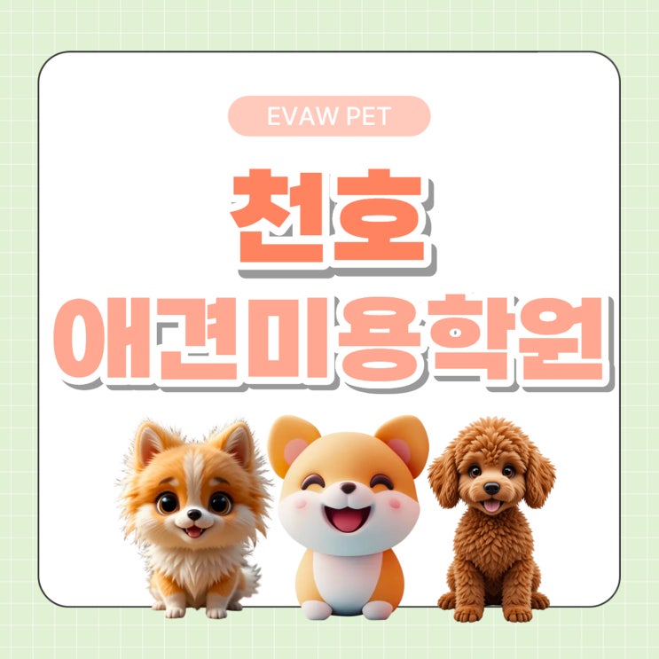  천호애견미용학원, 실무 중심 취업부터 창업 교육으로 성장하는 이바우펫