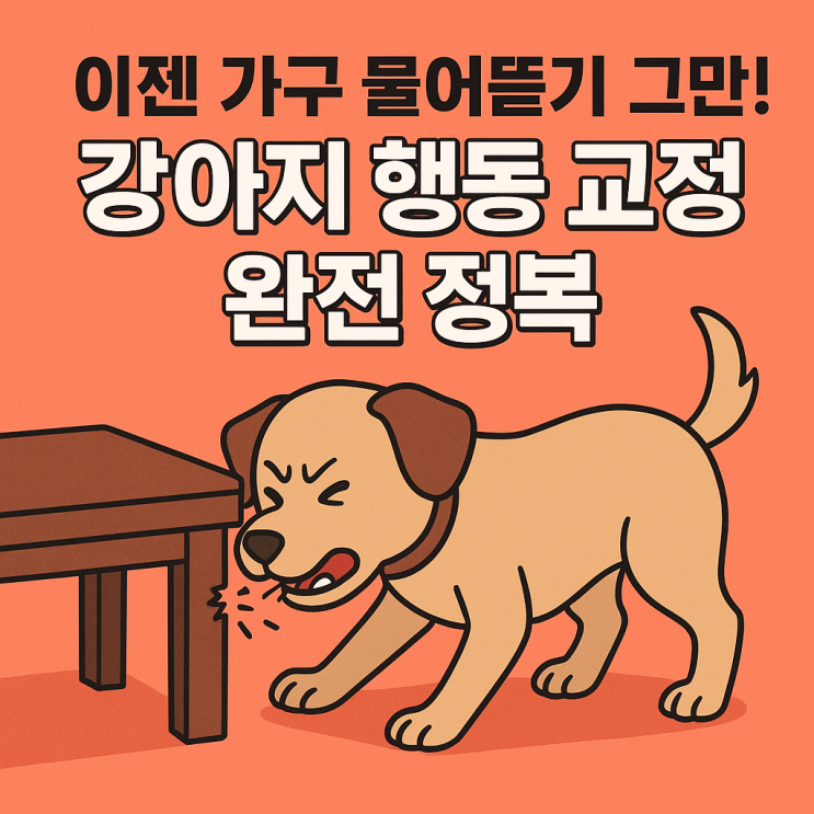   강아지 가구 물어뜯기, 왜 그럴까? 원인부터 교정법까지!