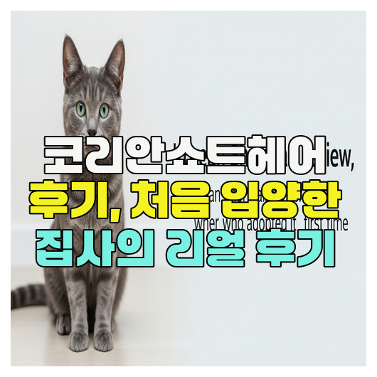  코리안쇼트헤어 후기, 처음 입양한 집사의 리얼 후기