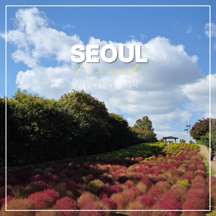  올림픽공원 피크닉 배달존 들꽃마루 노란 코스모스 주차